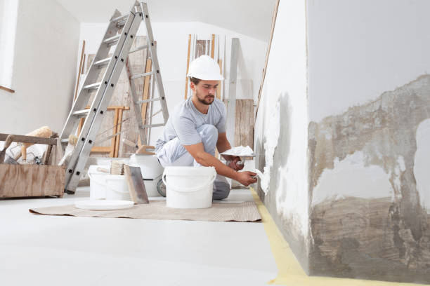 Best Emergency Mold Remediation  in West Ishpeng, MI