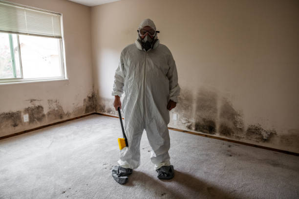 Best Asbestos and Lead Testing During Mold Inspection  in West Ishpeng, MI